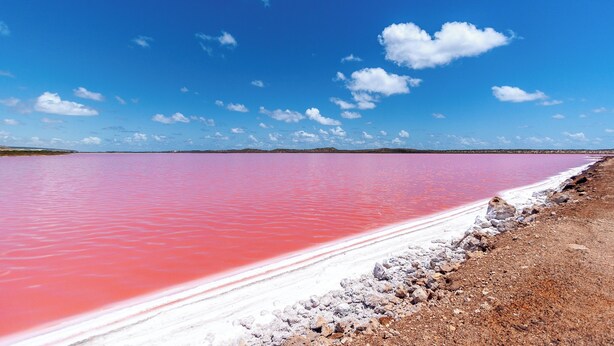 Een vlak, uitgestrekt landschap met een waterpartij in roze tinten en een helderblauwe lucht.