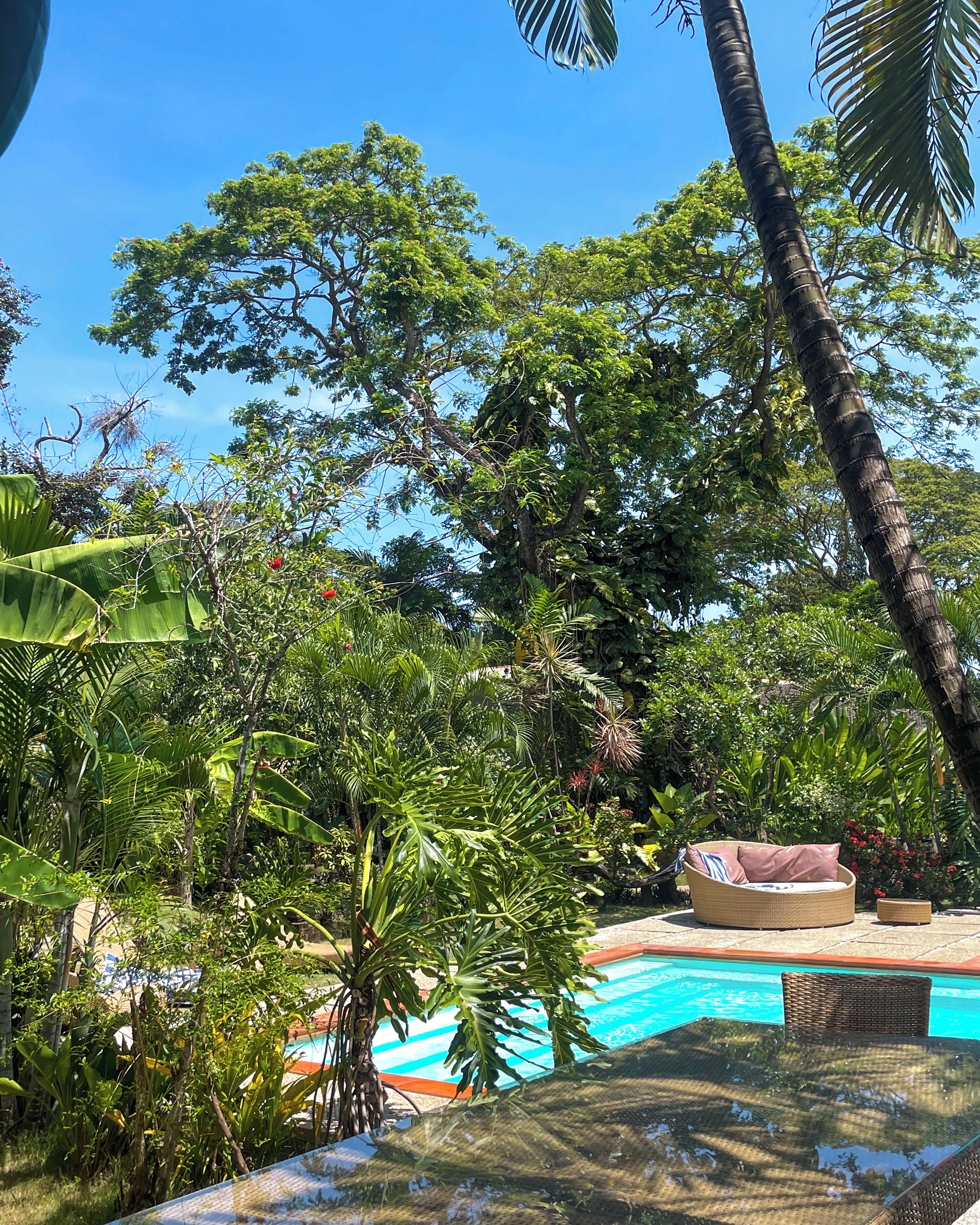 Photo - Hibiscus Garden Resort