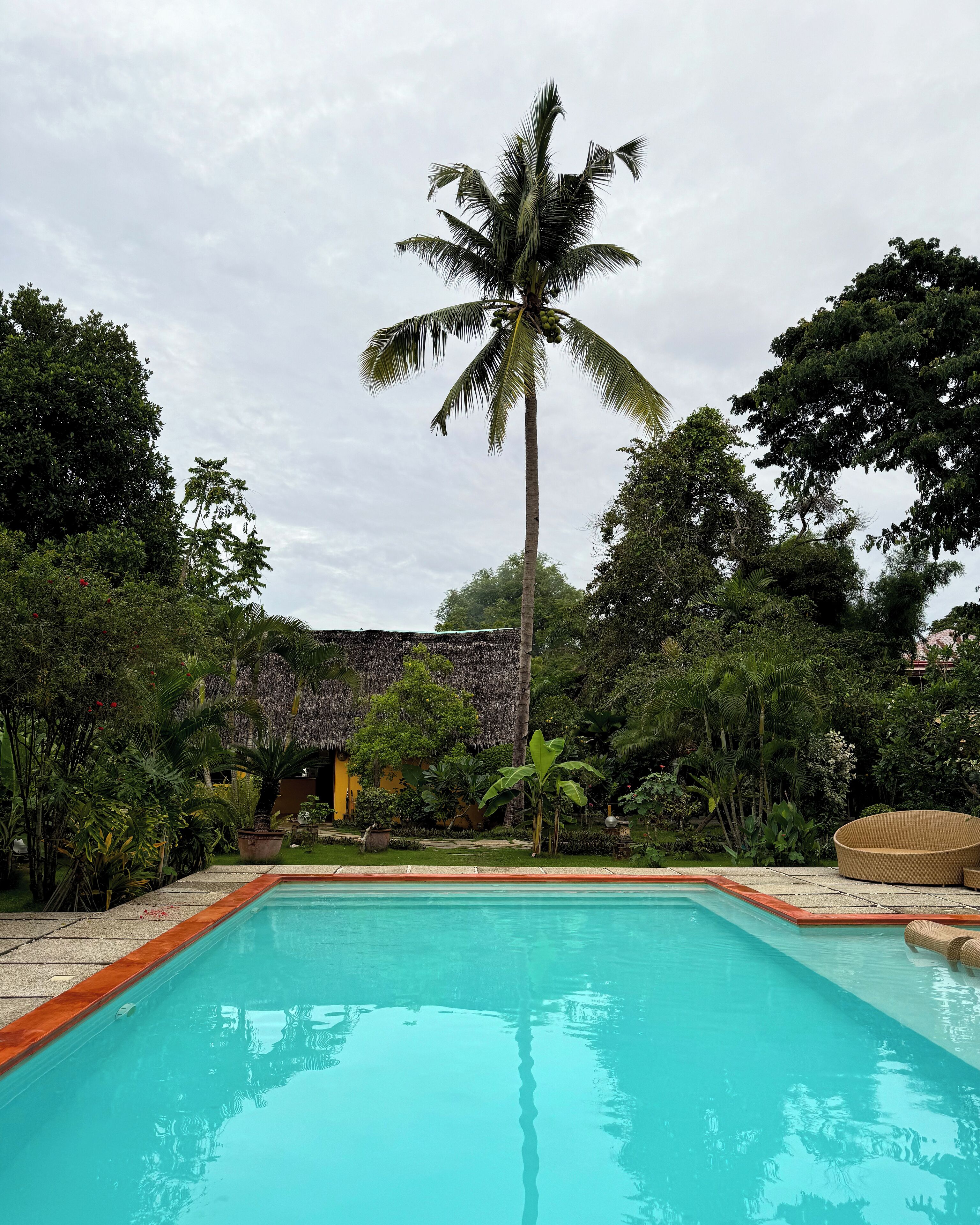 A rectangular pool with a wooden edge, surrounded by lush greenery and a tall palm tree.