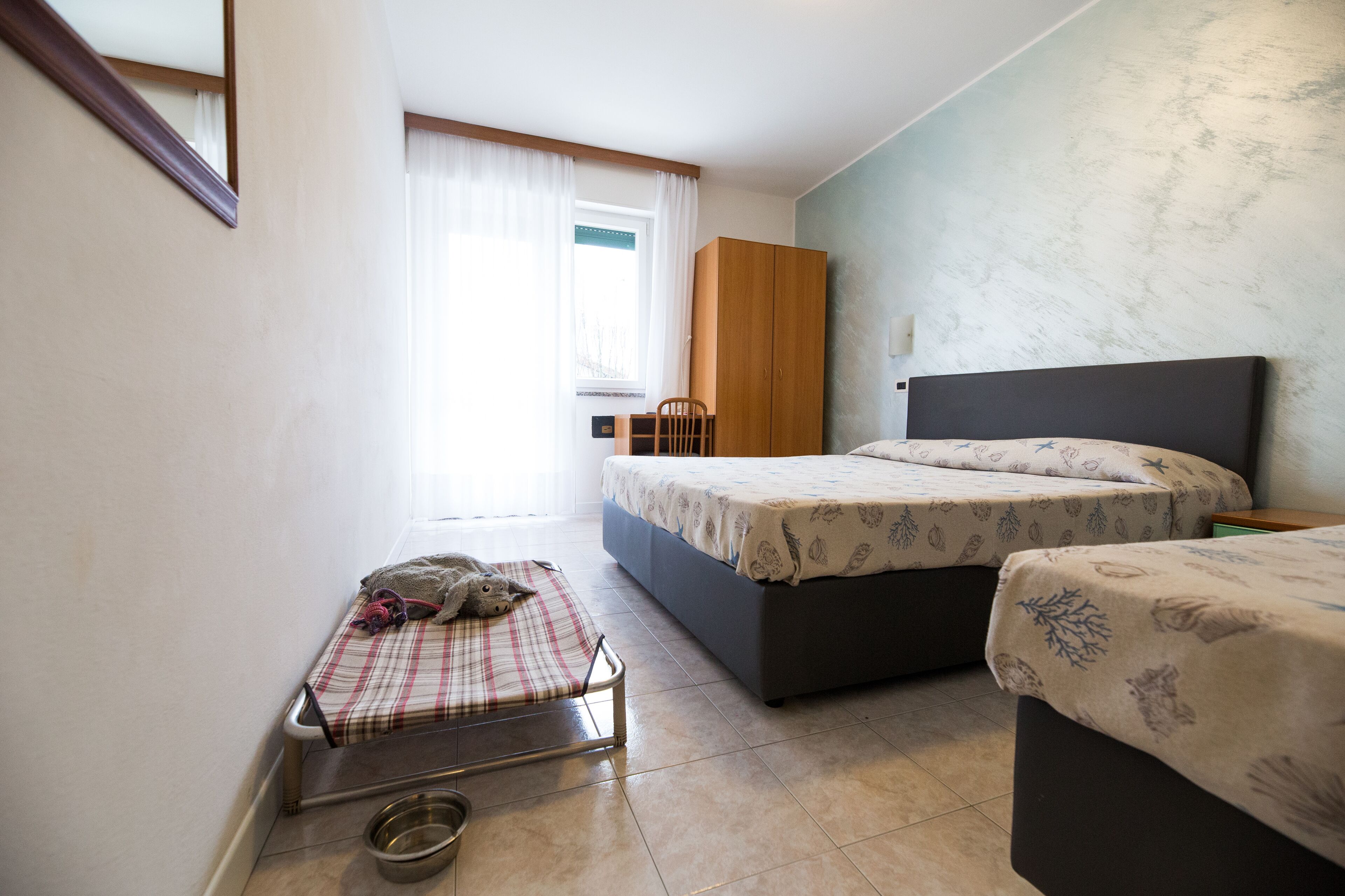 pet-friendly amenities