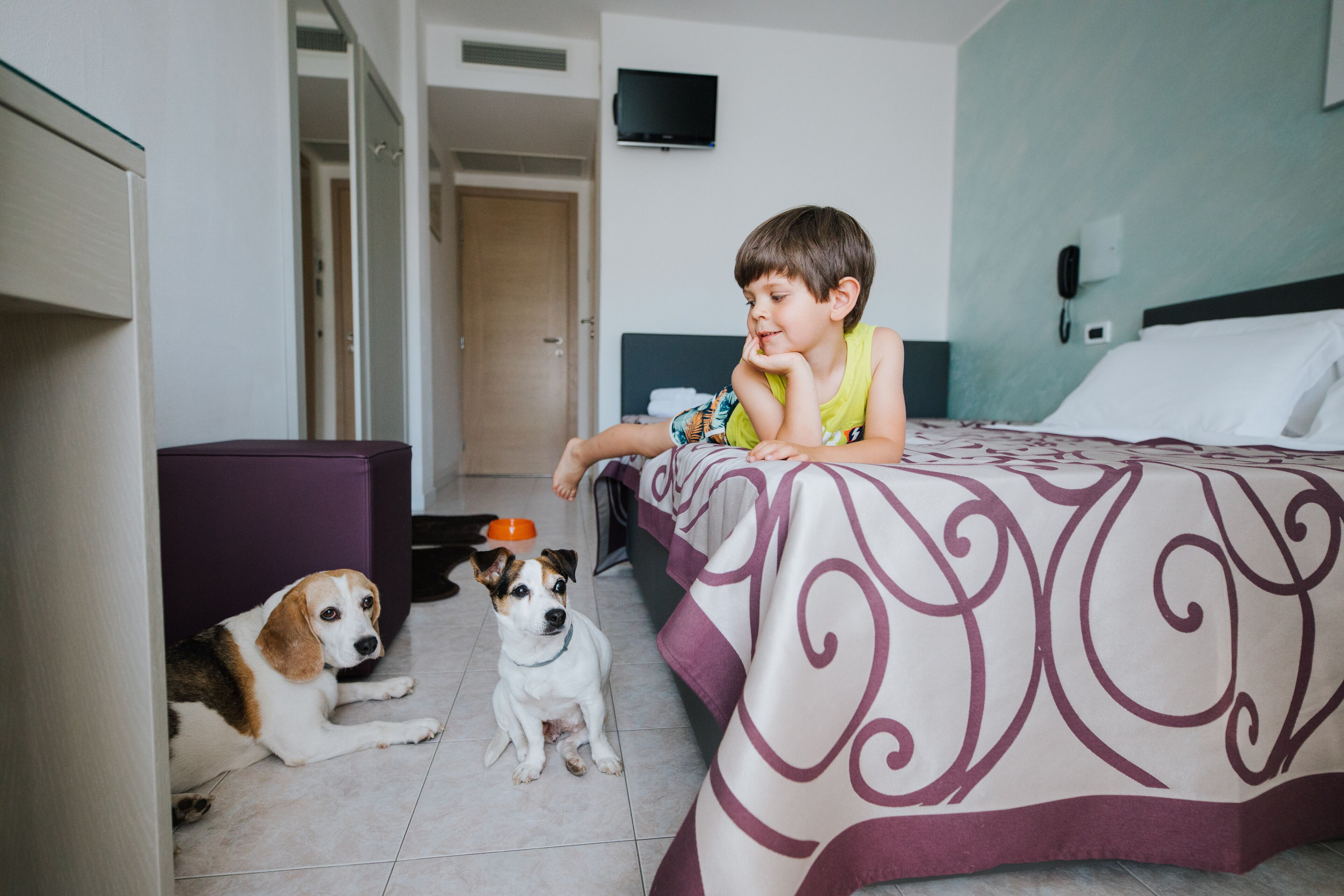 Un enfant est assis sur un lit dans une chambre d’hôtel, et un chien est allongé sur le sol.
