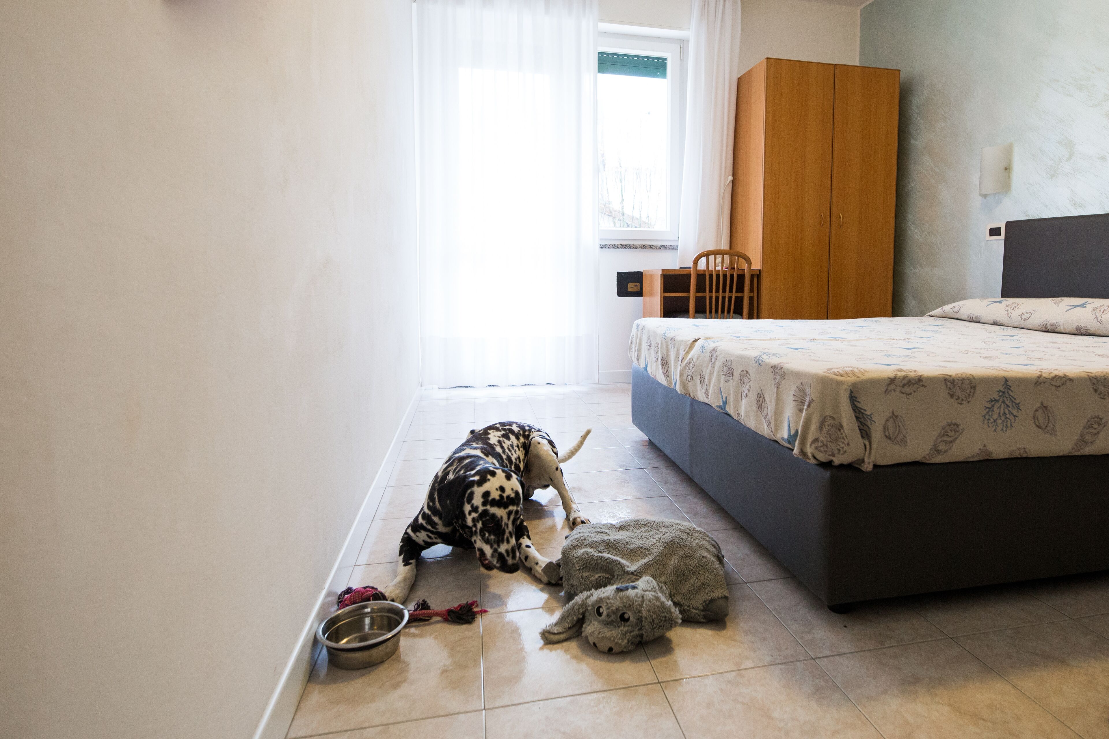 A bedroom with a bed, a wardrobe, a window with curtains, and a dog playing with a stuffed toy.