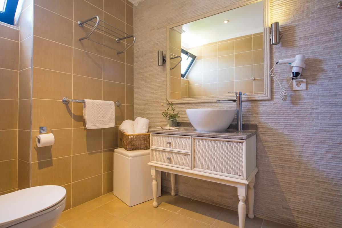 double room | bathroom shower