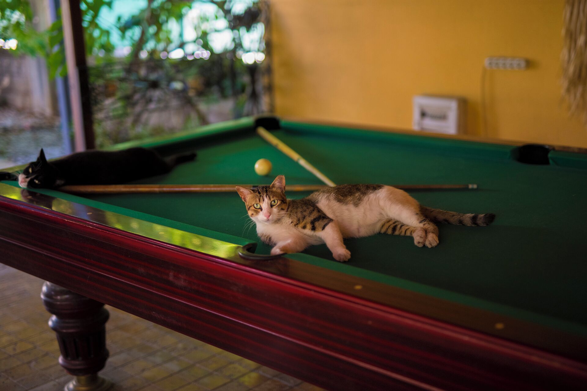 children’s play area – outdoor