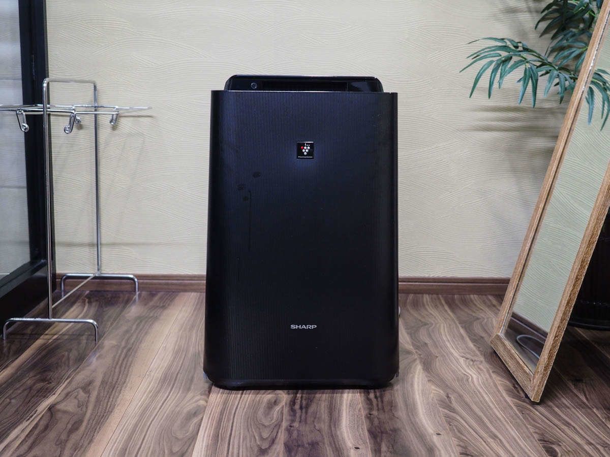 Un refrigerador Sharp negro en una habitación con piso de madera, un soporte metálico y una planta.