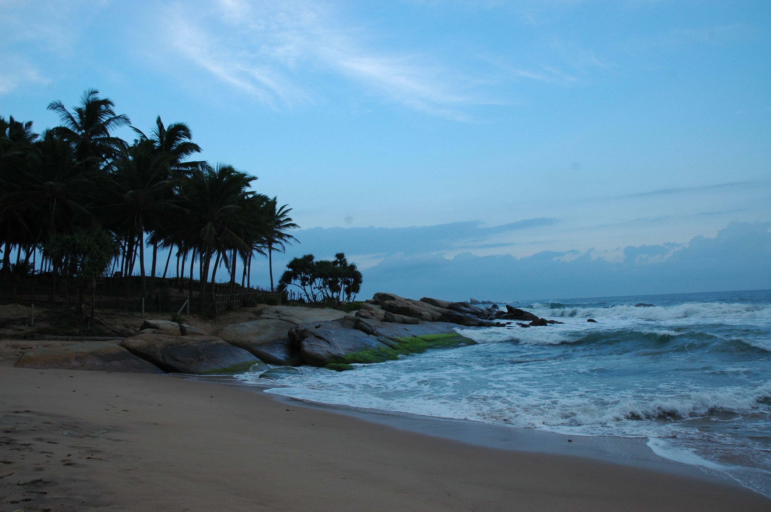 A beach with palm trees, rocky shoreline, and waves.