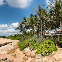 Accommodatie ligt op het strand, parasols, strandlakens, een strandbar