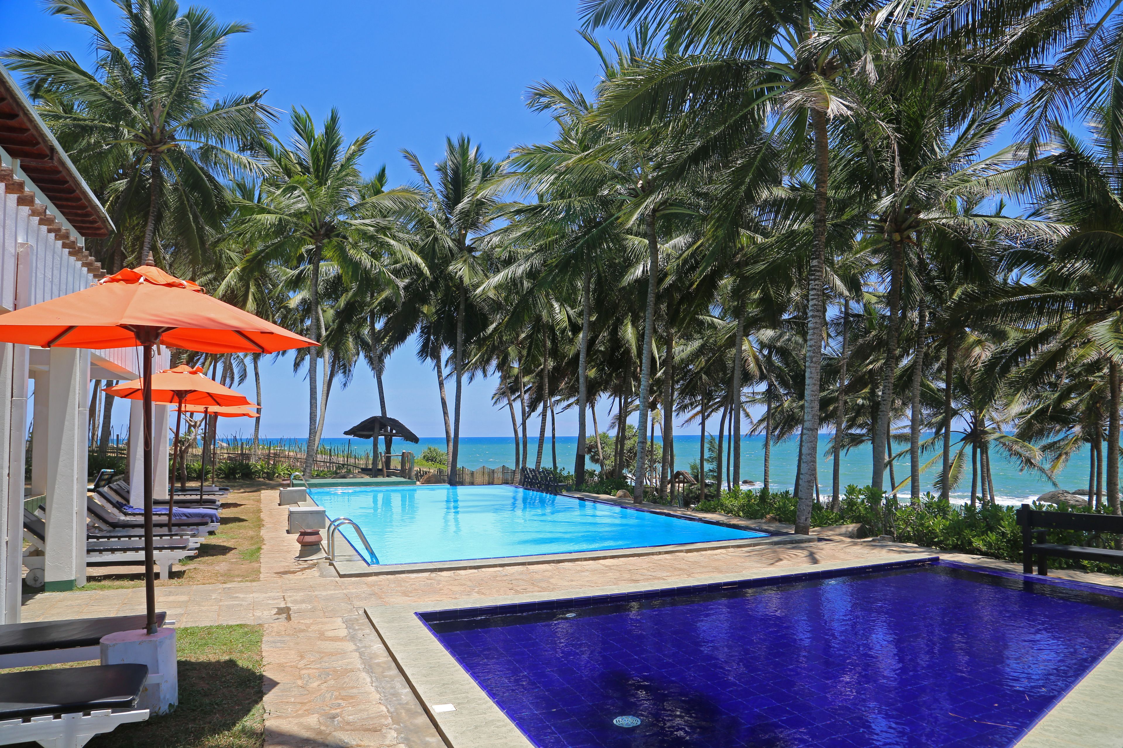 室外泳池；躺椅