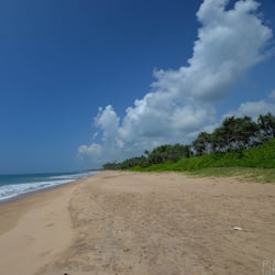 Plage, parasols, serviettes de plage, bar de plage