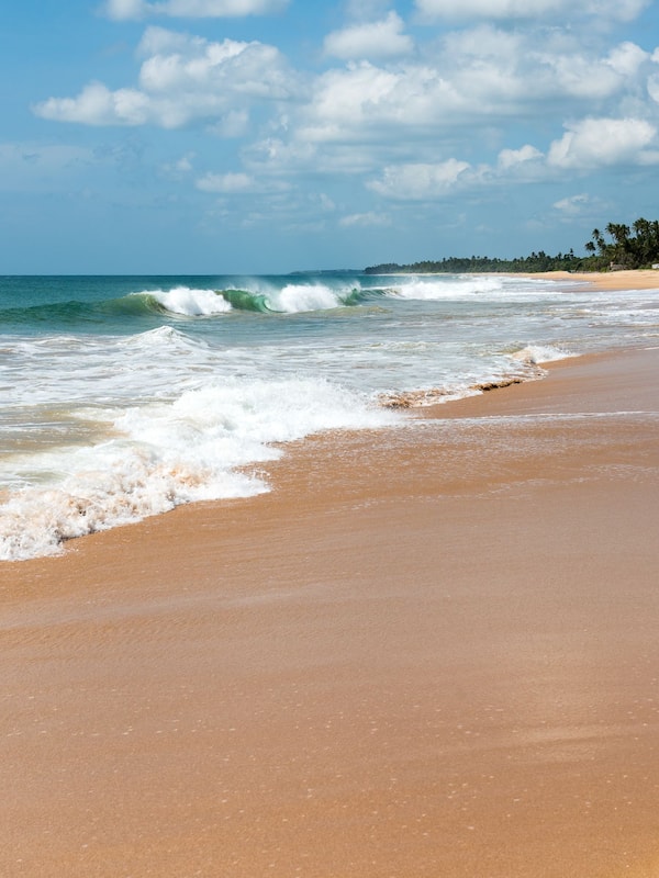 Vue sur la plage/l’océan