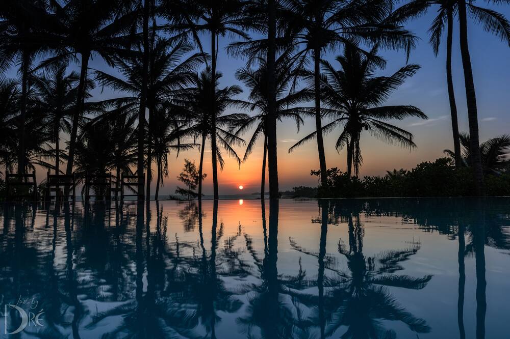 Turtle Bay