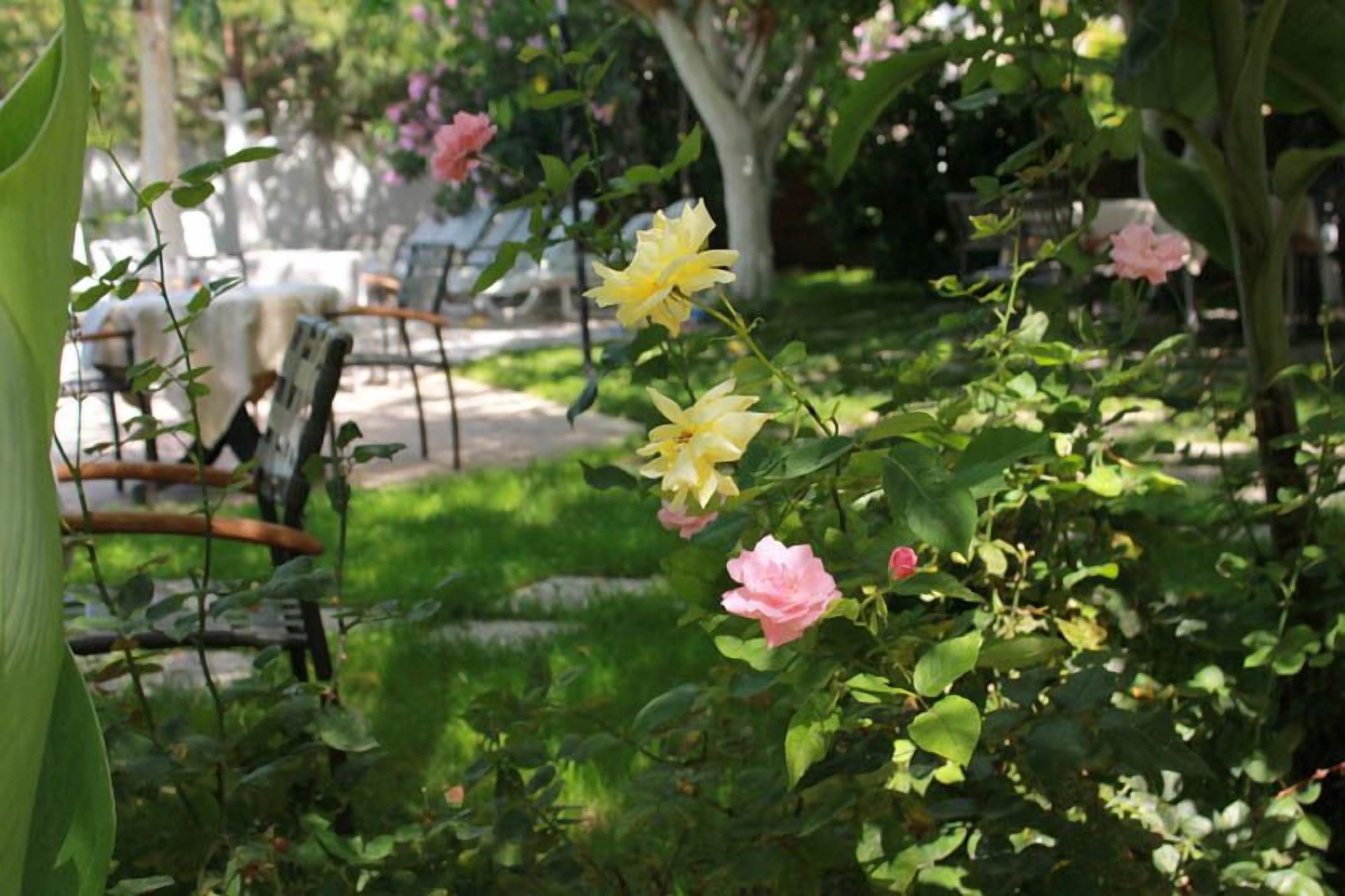 Foto - Hotel Vanilla