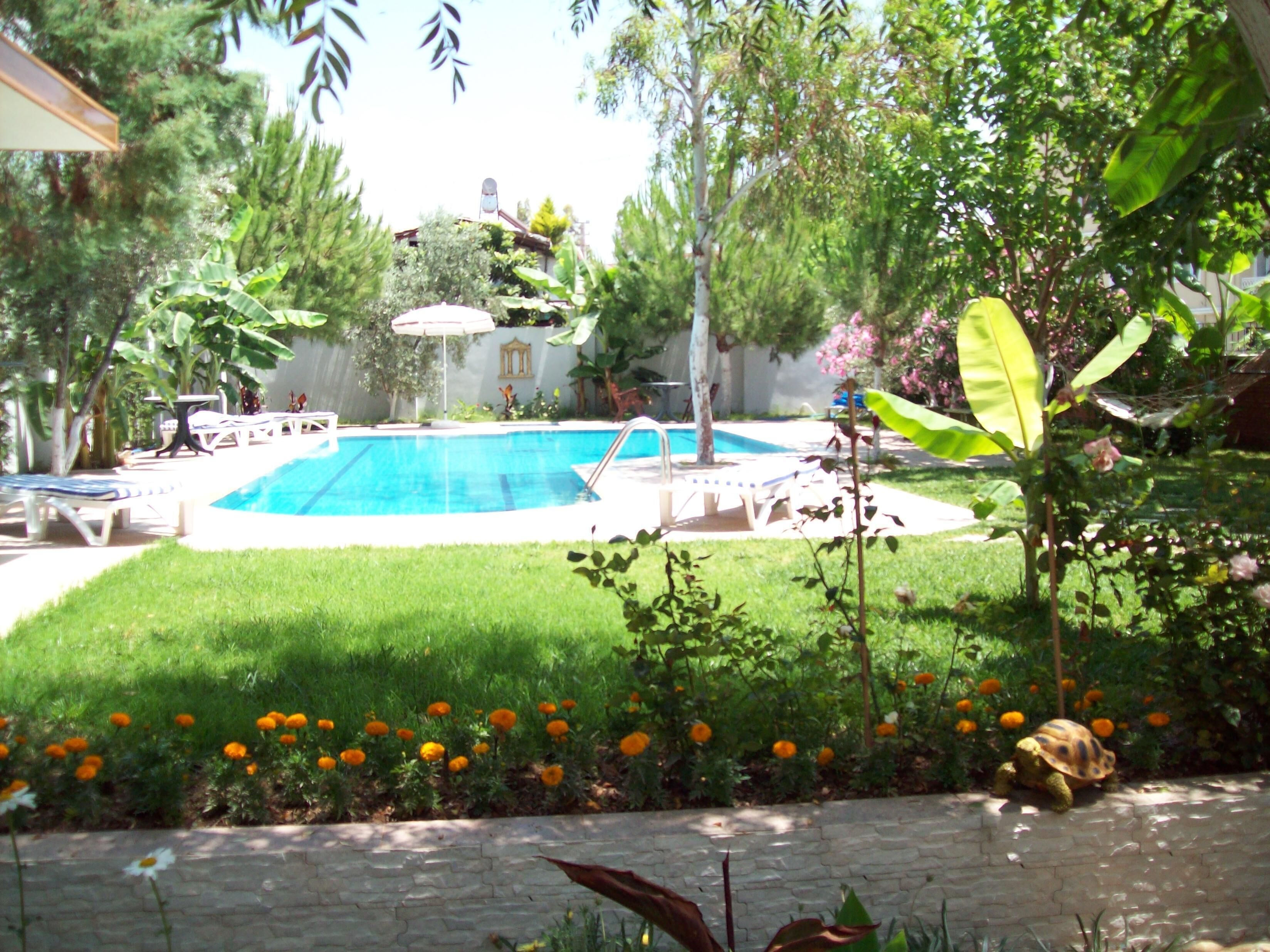 Foto - Hotel Vanilla