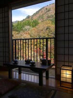 Quadruple Room (4 Japanese Futons) | View from room