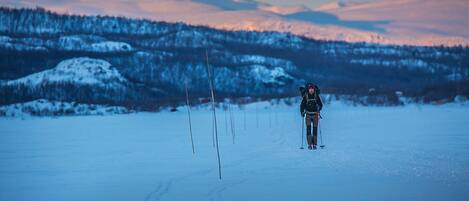 A person skiing in a snowy landscape with mountains in the background.