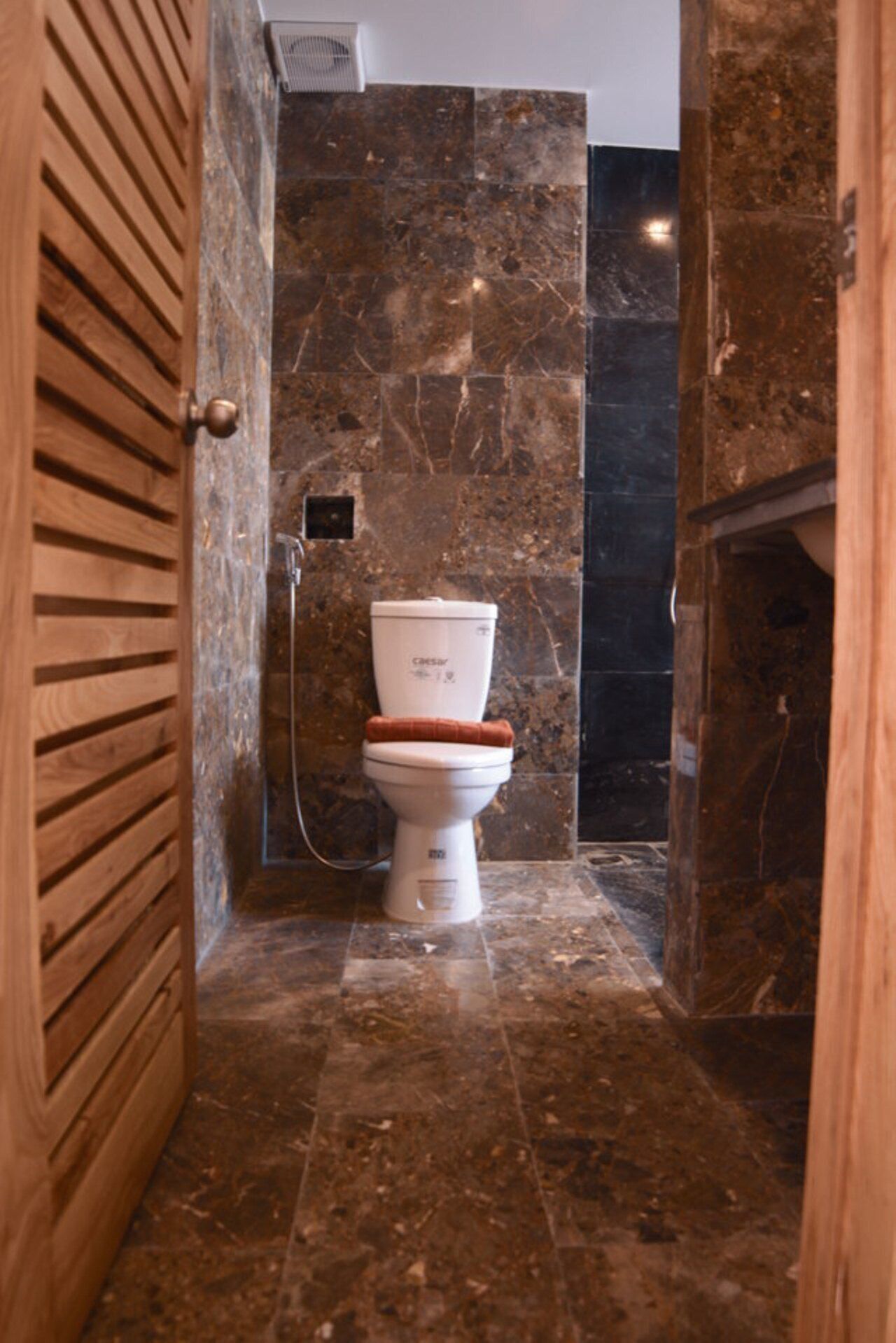A bathroom with a toilet, marble walls, and a wooden door.