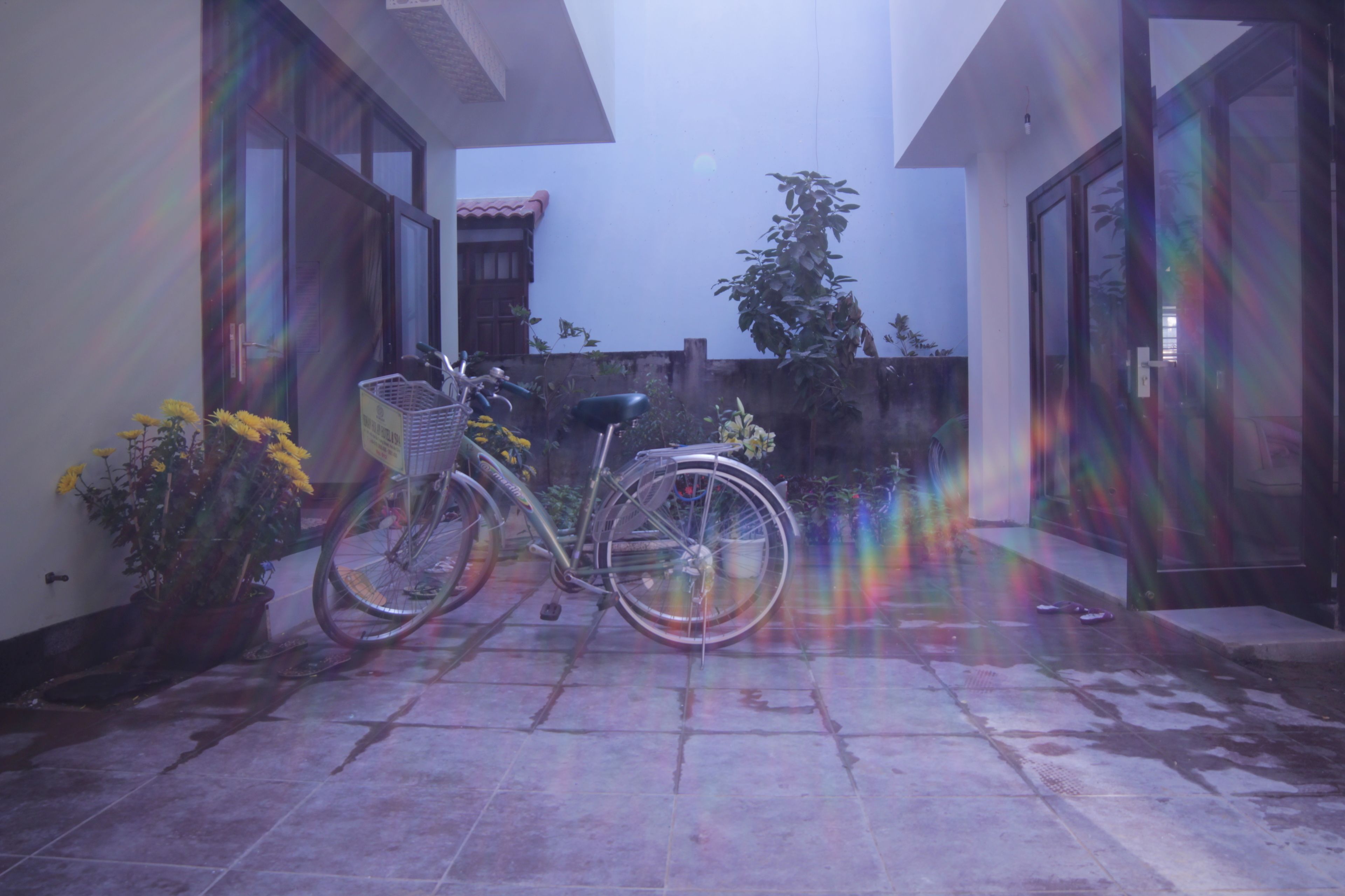Photo - Jolie Villa Hoi An