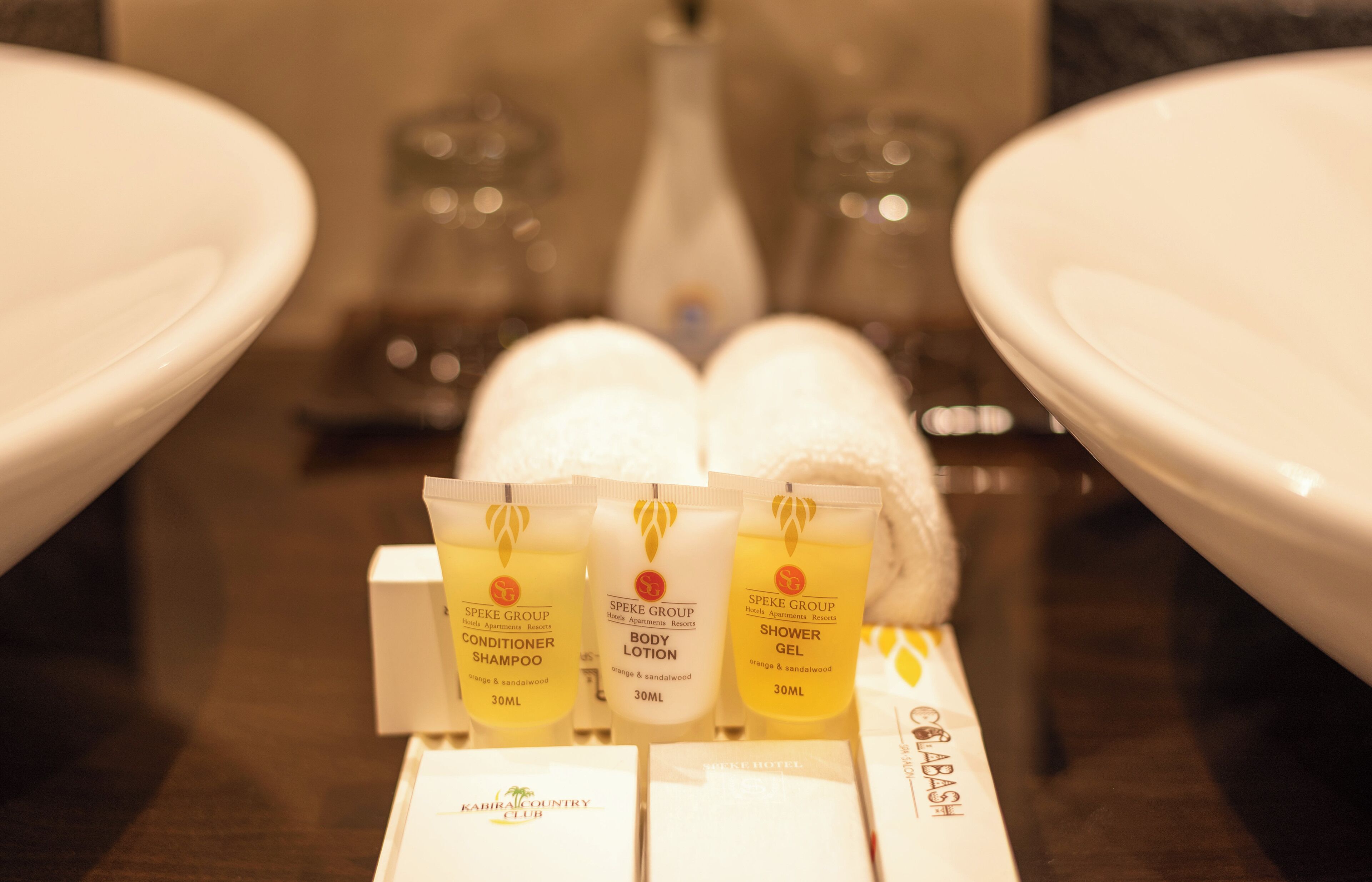 presidential suite, 2 bedrooms, lake view | bathroom | free toiletries, hair dryer, bathrobes, slippers