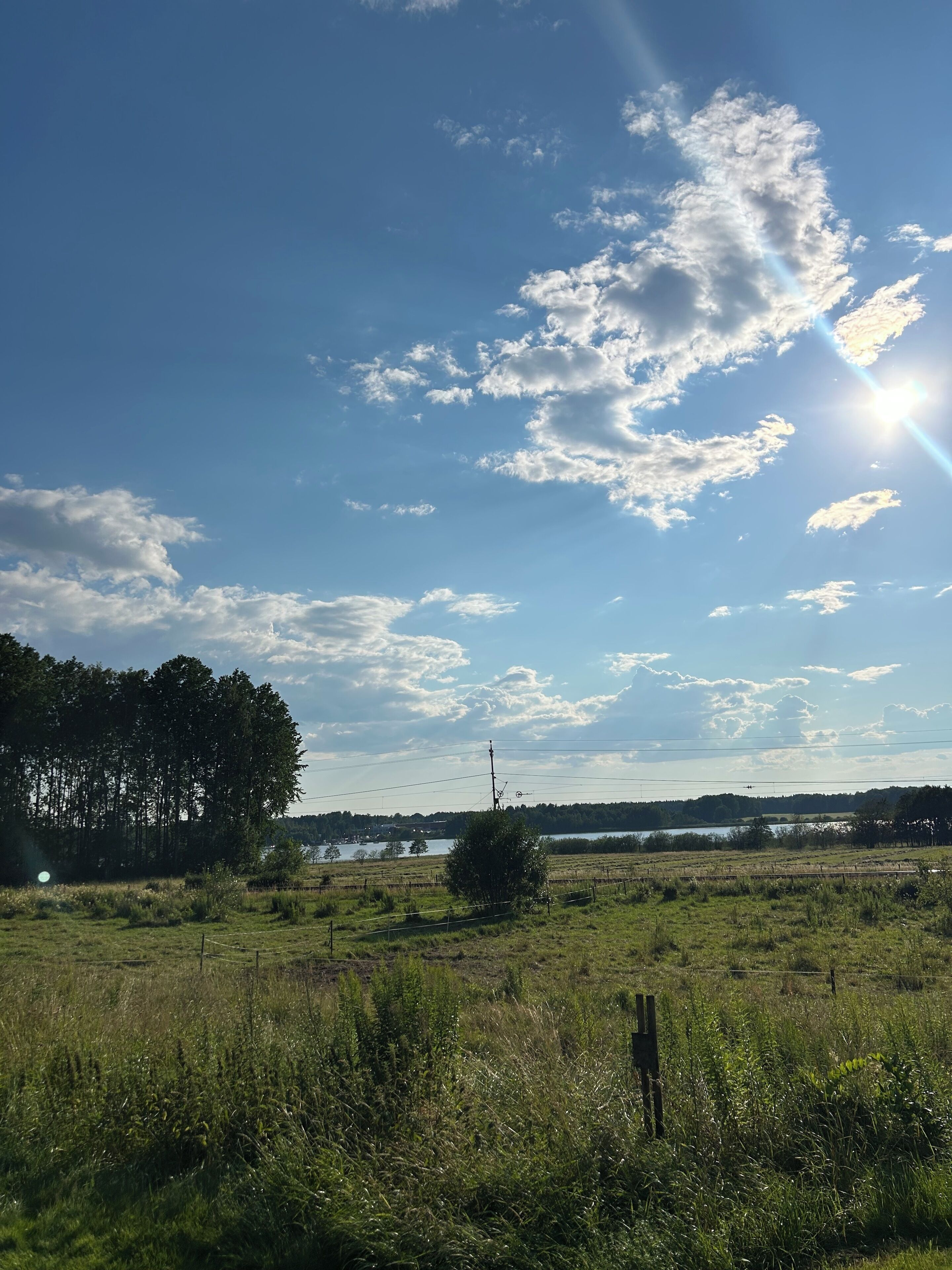 Ett lantligt landskap med en klar himmel, en sjö eller ett annat vattendrag och en skog i bakgrunden.
