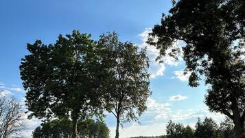 A park with green grass, trees, and playground equipment.