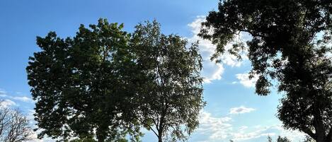 A park with green grass, trees, and playground equipment.