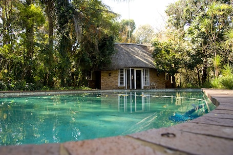 Outdoor pool, sun loungers
