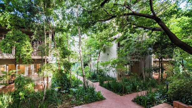 Un patio con un camino empedrado, rodeado de exuberante vegetación y árboles.