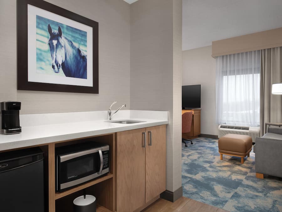 King, Studio, Kitchenette | Private kitchenette | Fridge
