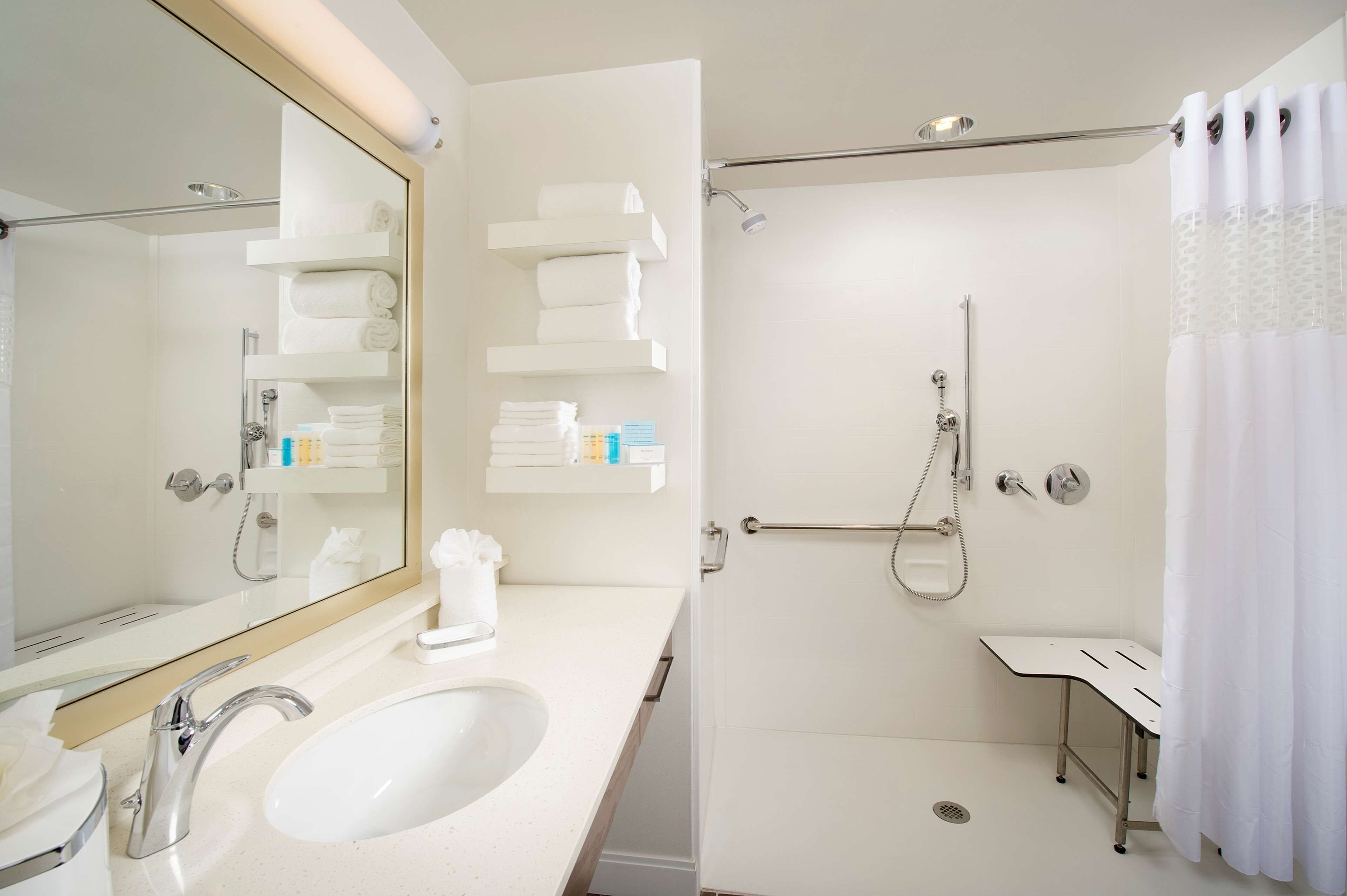 room, 1 king bed, accessible (roll in shower) | bathroom | free toiletries, towels