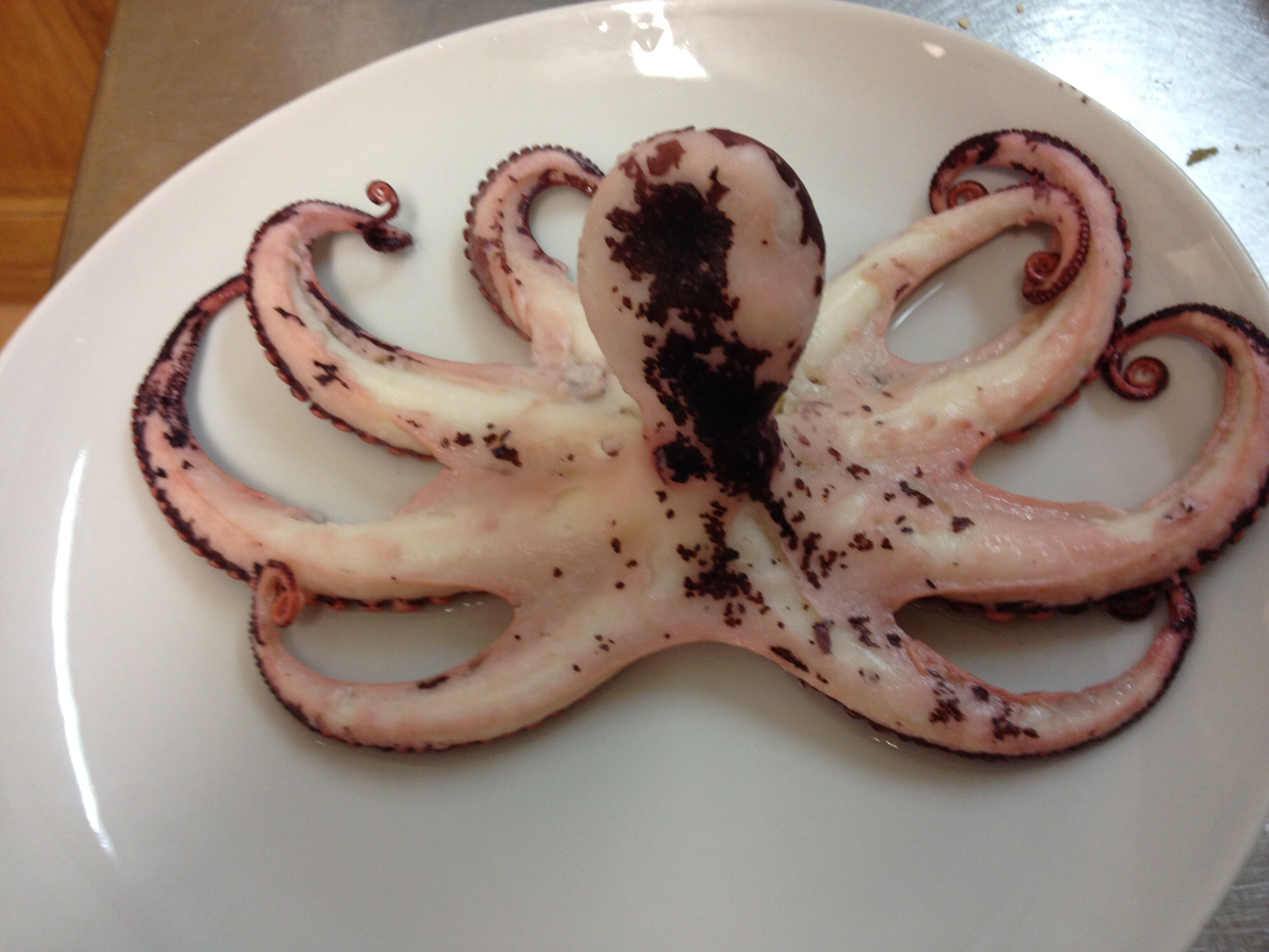 Une assiette avec un poulpe cuit.