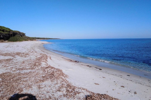 Am Strand, Schnorcheln