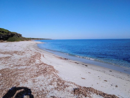 Ubicación a pie de playa y buceo con tubo