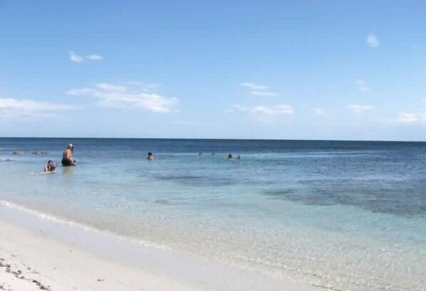 Trên bãi biển, lặn với ống thở 