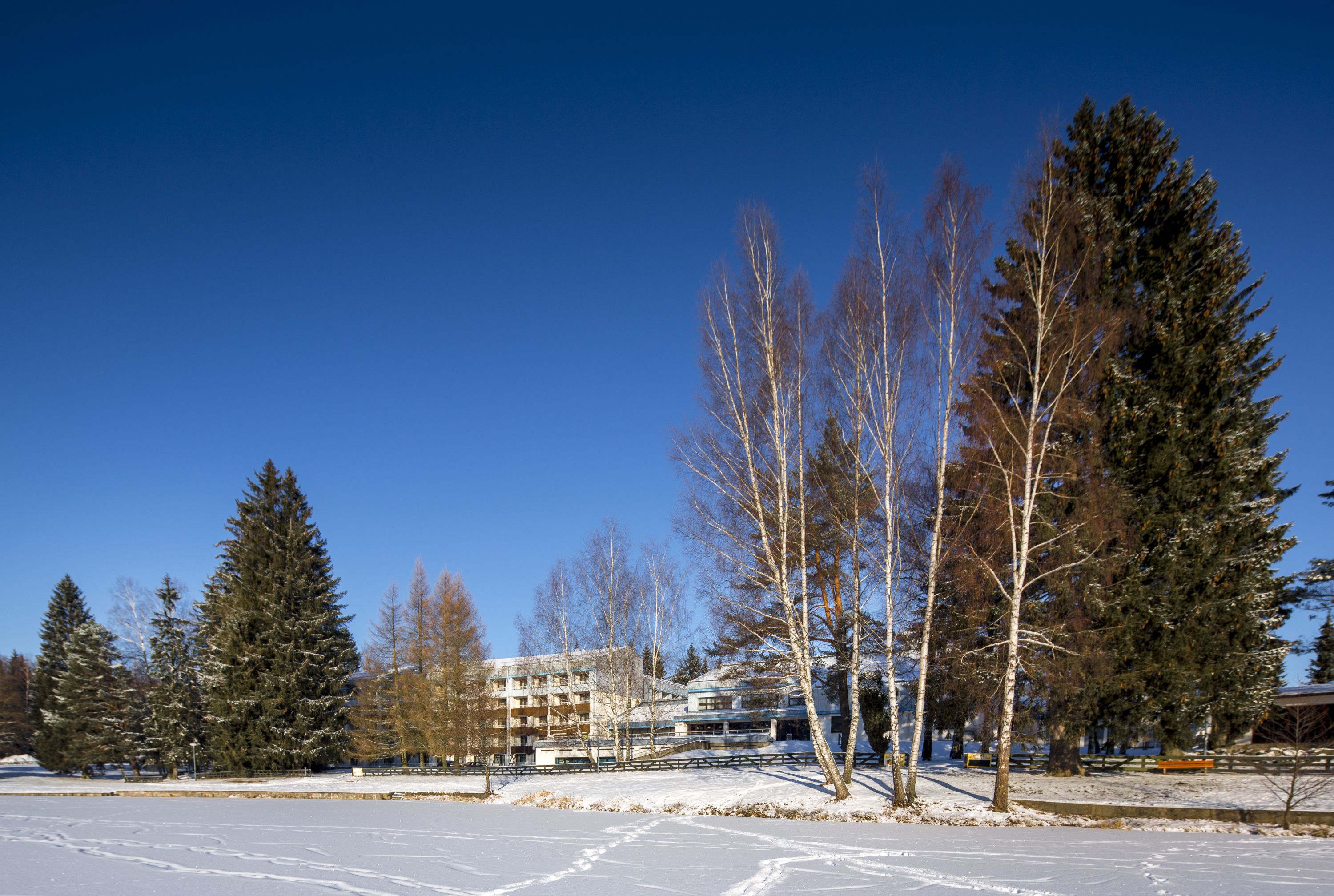 A snow-covered outdoor area with a building in the background, surrounded by trees.