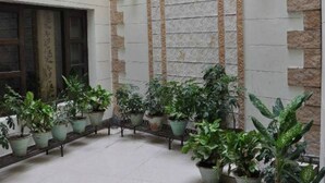 Pátio com vasos de plantas e muro de pedra com linhas verticais.