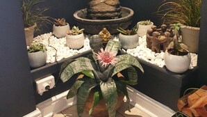 A room with a Buddha statue in the center, surrounded by potted plants and decorative items. - Knysna Wayside Inn (Knysna)
