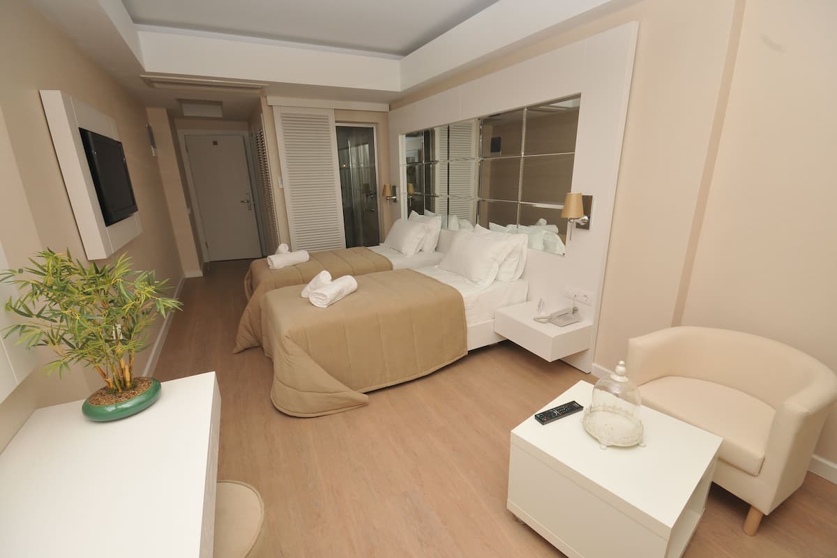 A hotel room with two beds, a desk, a chair, a bedside table, a TV, a window, and a potted plant.