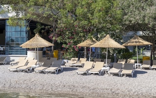 A beachside lounge area with sun loungers and thatched umbrellas, surrounded by pebbles and trees.