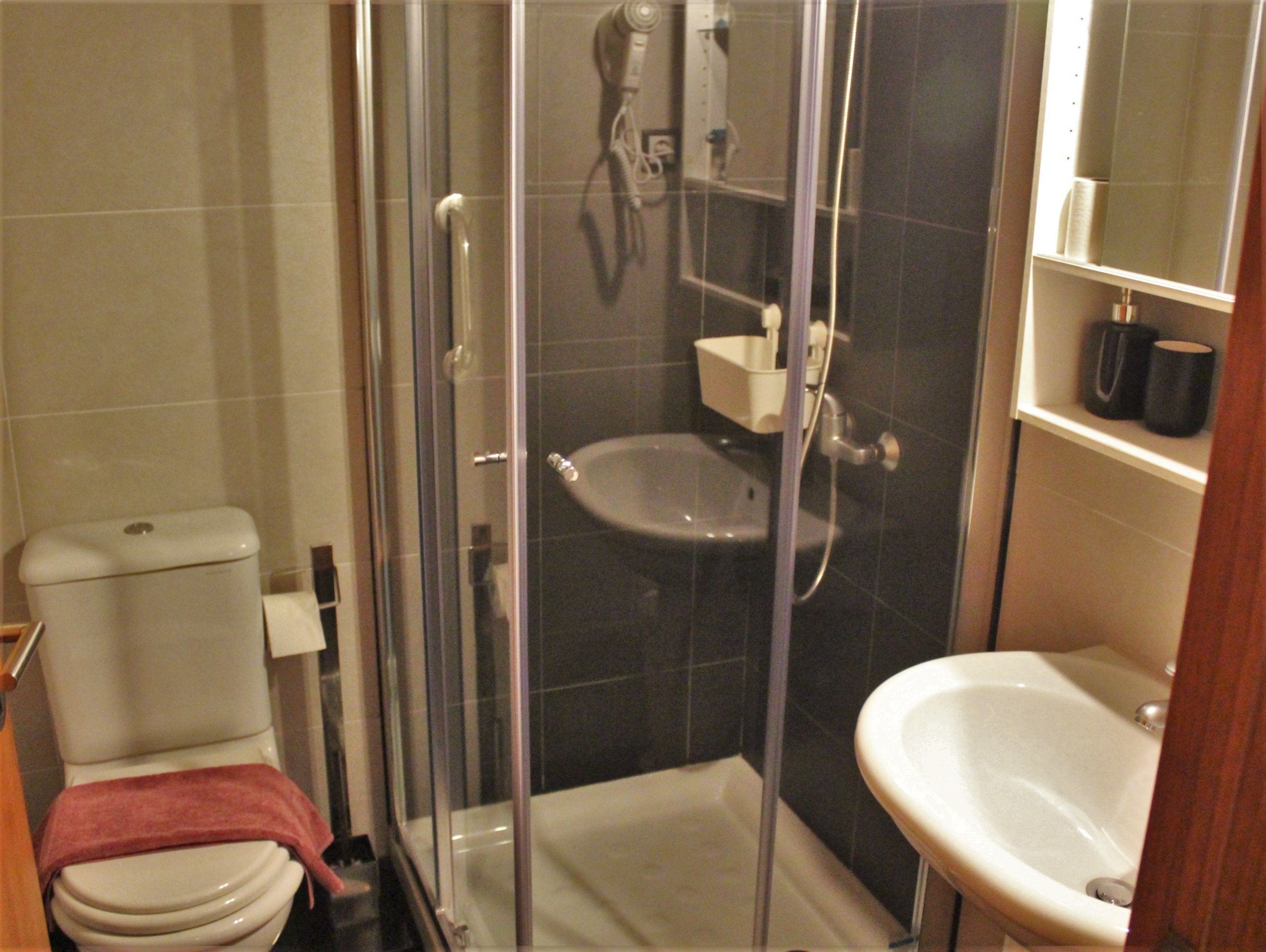 A bathroom with a toilet, a glass-enclosed shower, and a sink.