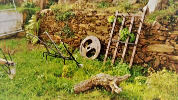 A stone wall with a wooden ladder leaning against it, a circular object on the ground, and a metal frame structure.