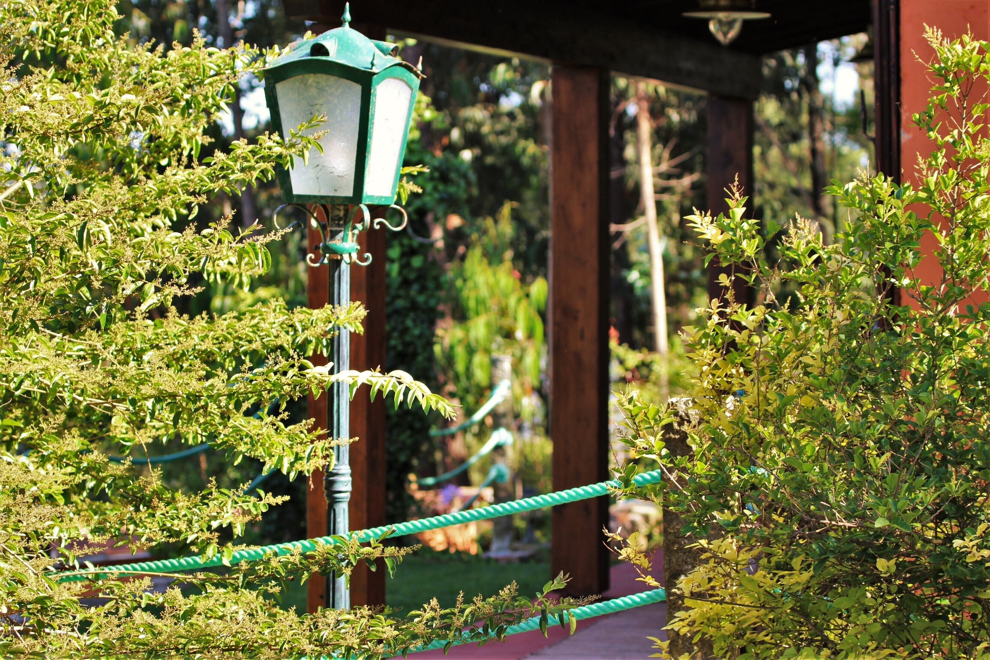 A green street lamp in a garden with a wooden pergola structure in the background.