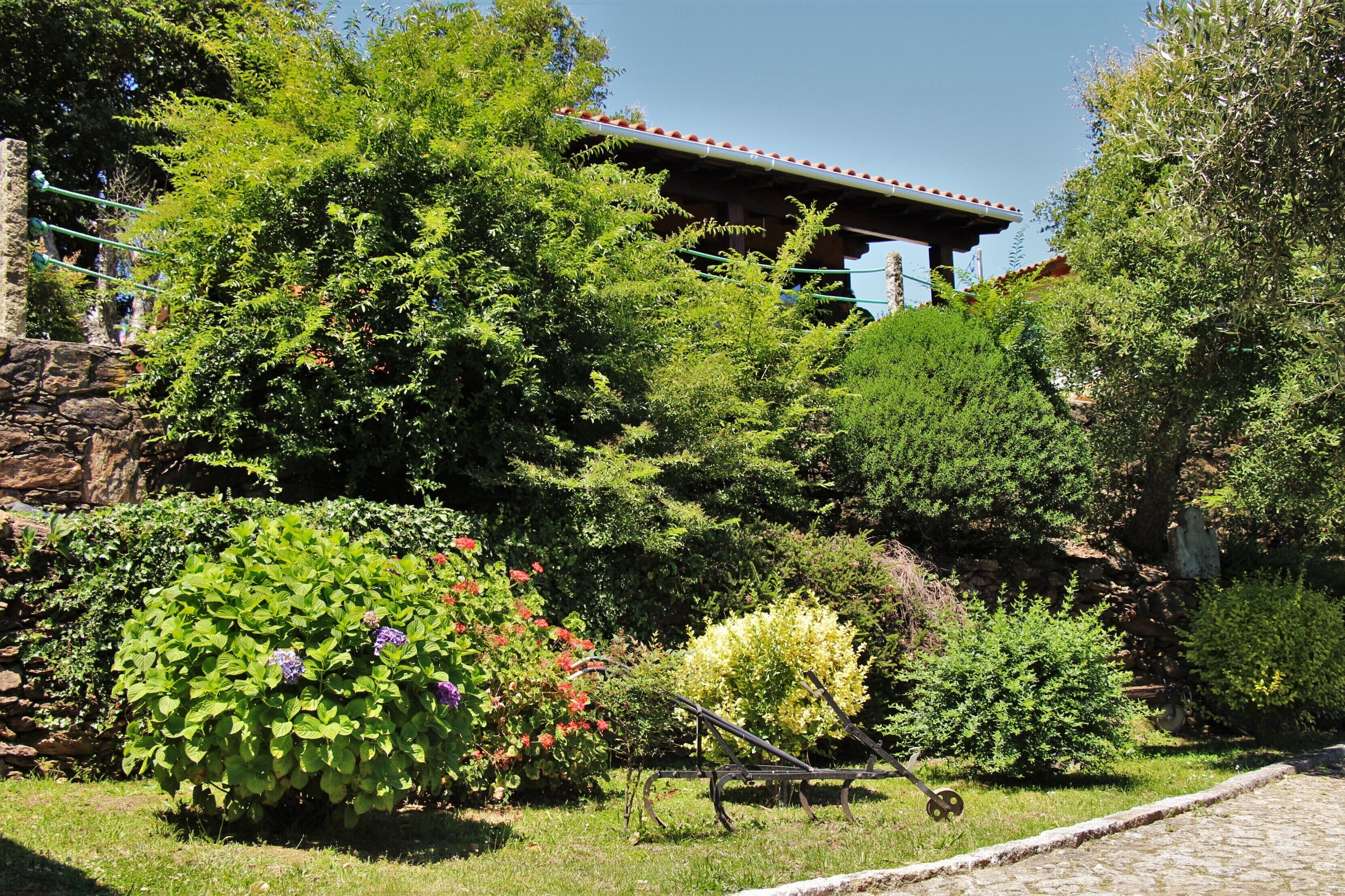 A garden with various plants and a stone wall.