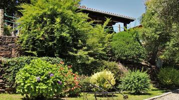 A garden with various plants and a stone wall.