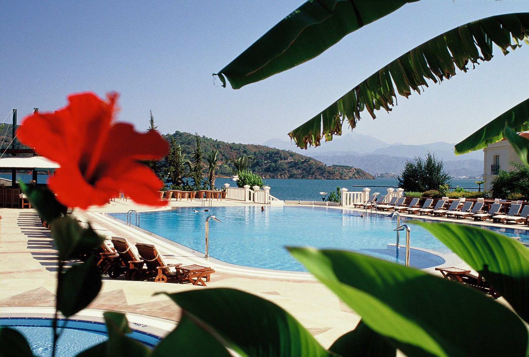 Outdoor pool, sun loungers