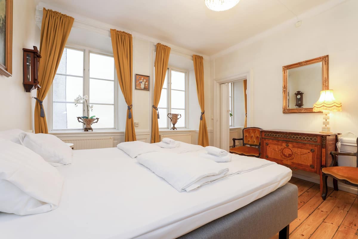 Appartamento, 1 letto matrimoniale con divano letto | 1 camera, ferro/asse da stiro, Wi-Fi gratuito, lenzuola