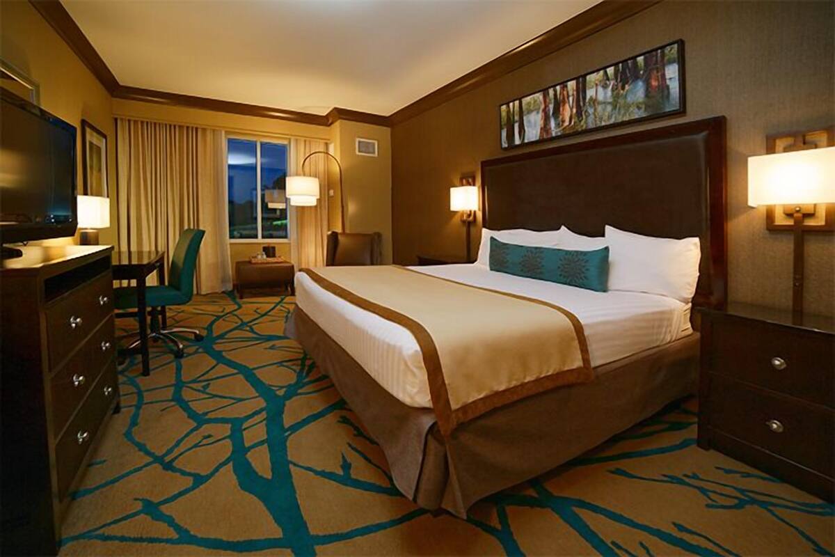 Standard Single Room | 1 bedroom, premium bedding, in-room safe, desk