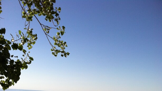 A wooden viewing platform overlooking a beach with a clear view of the ocean. - A Breath of Heaven B&B (Traverse City)