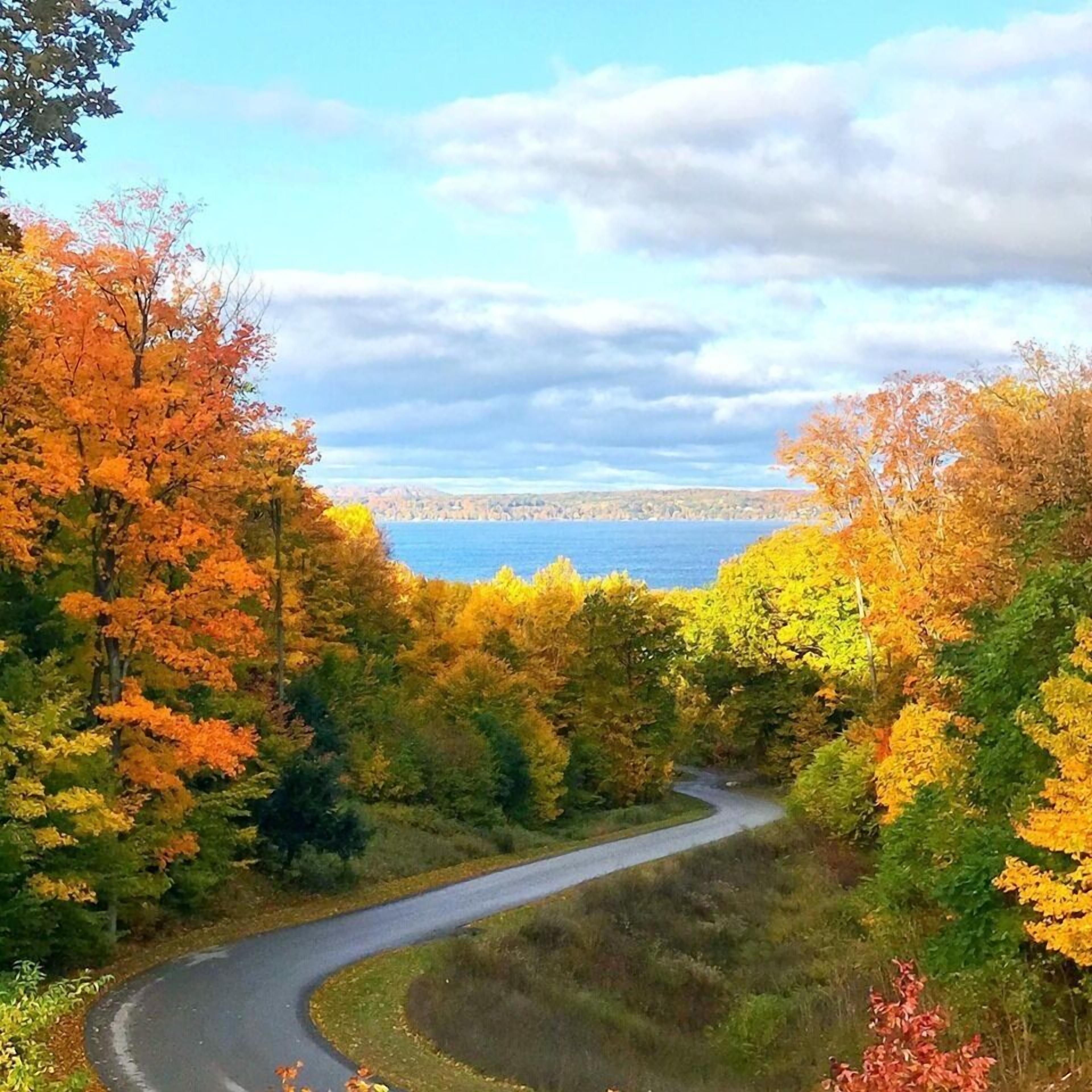 A winding road through a forest with autumn foliage and a view of a body of water in the distance.