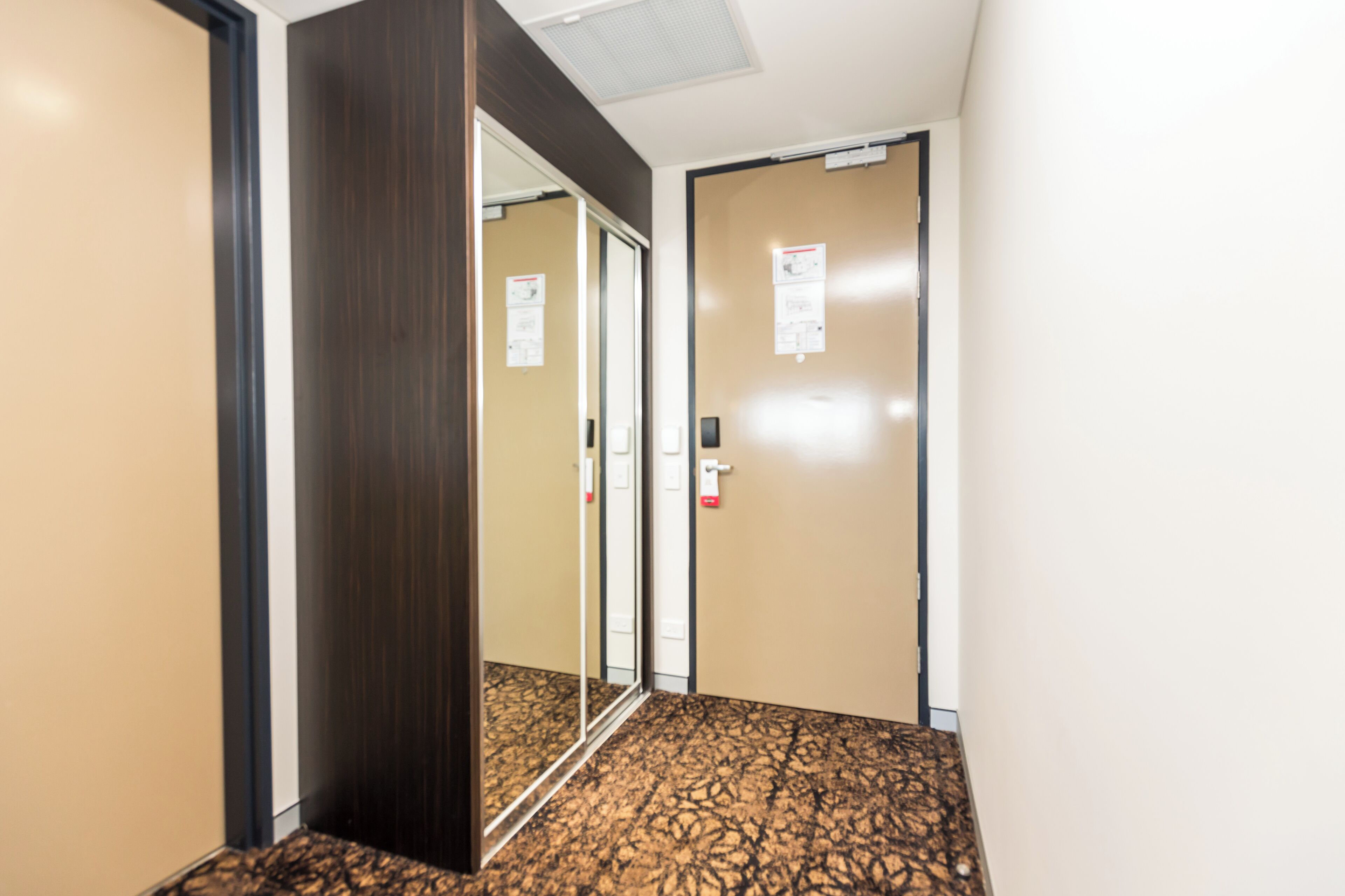 A hallway with a door, a mirror, and a patterned carpet.