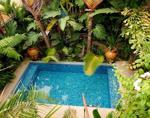 Piscine extérieure, chaises longues